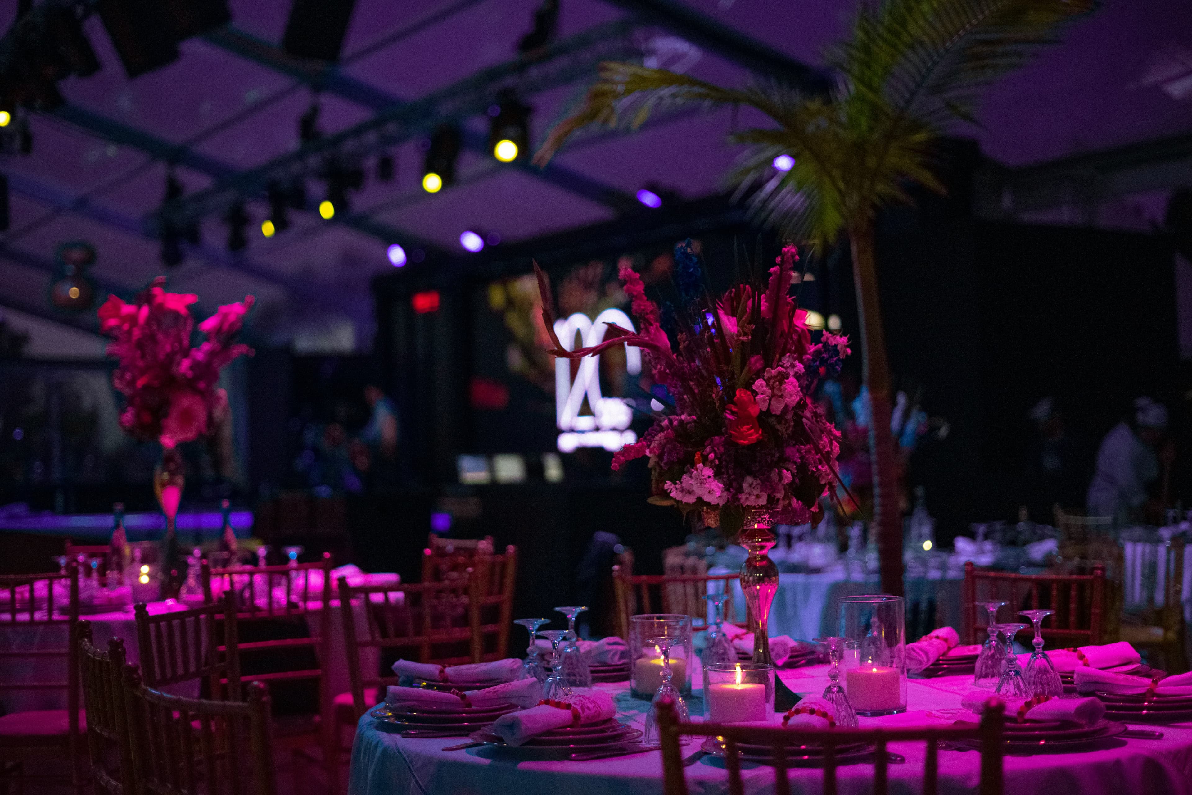 Galas & Launches